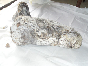 Ambergris white